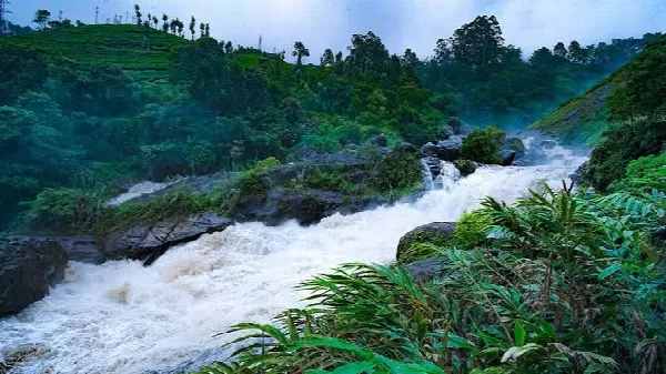 Attukad Waterfalls, Munnar