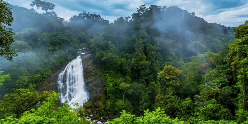 Discover the Beauty of Mountains