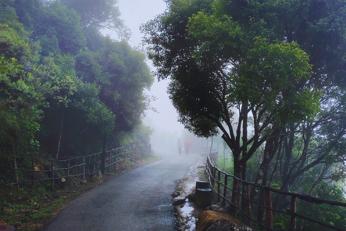 Adimaly